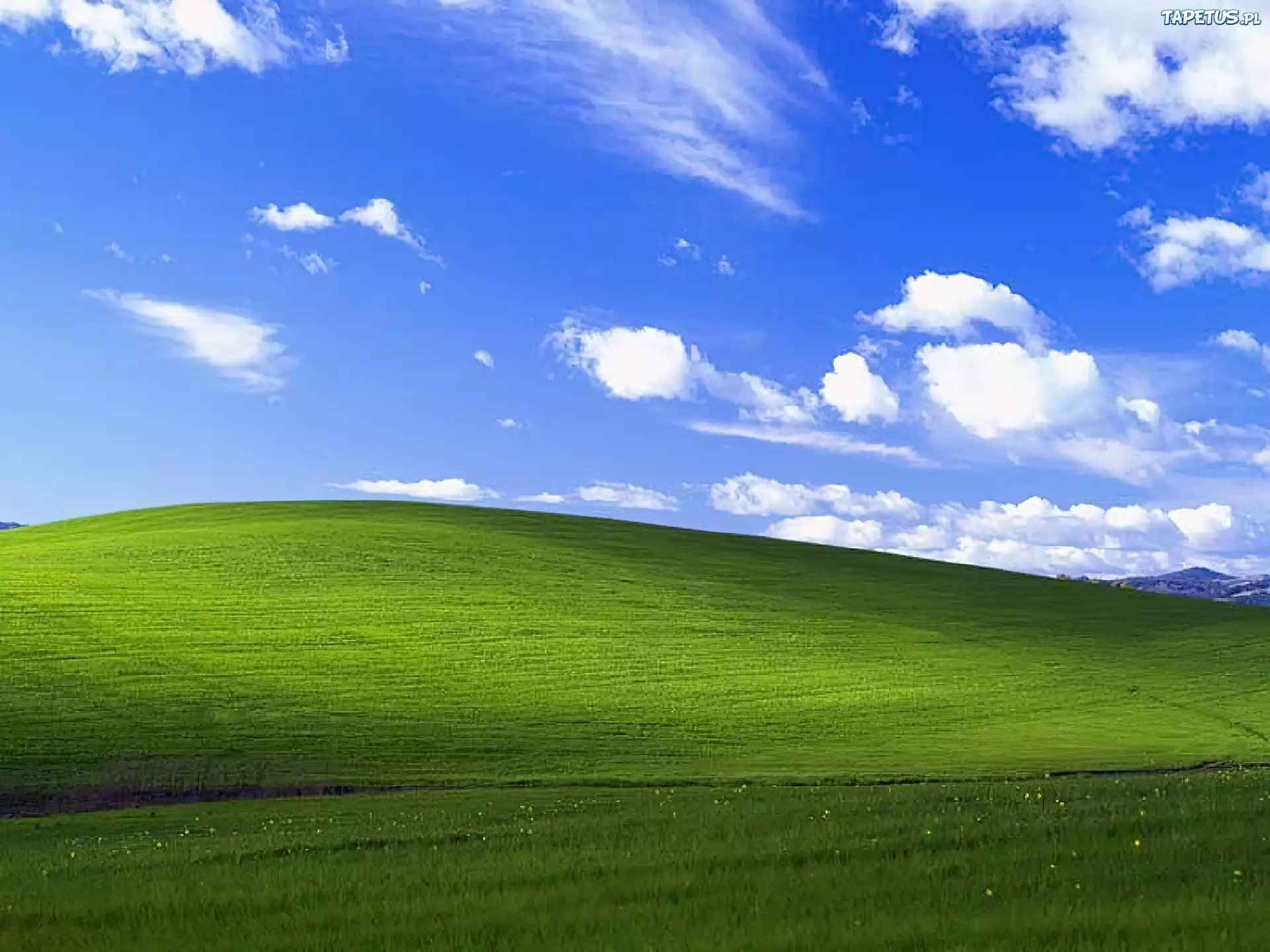 Łąka, Niebo, Chmury, Windows