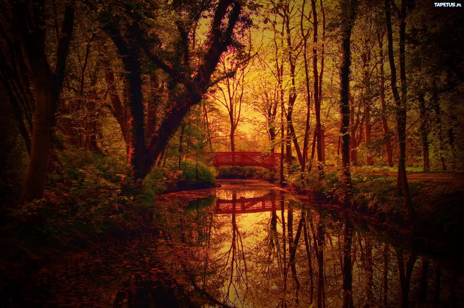 Jesień, Rzeka, Mostek