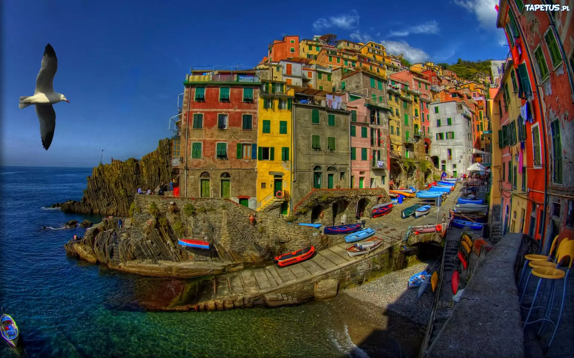 Domy, Riomaggiore, Włochy