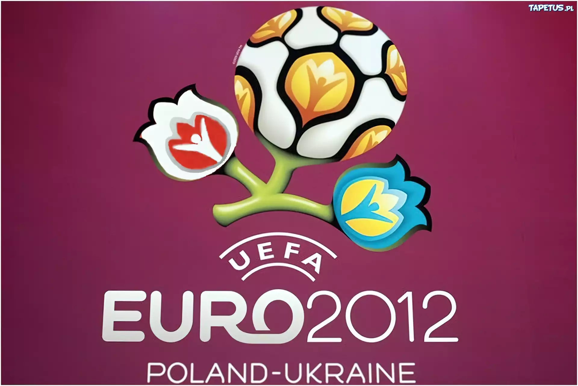 Euro 2012