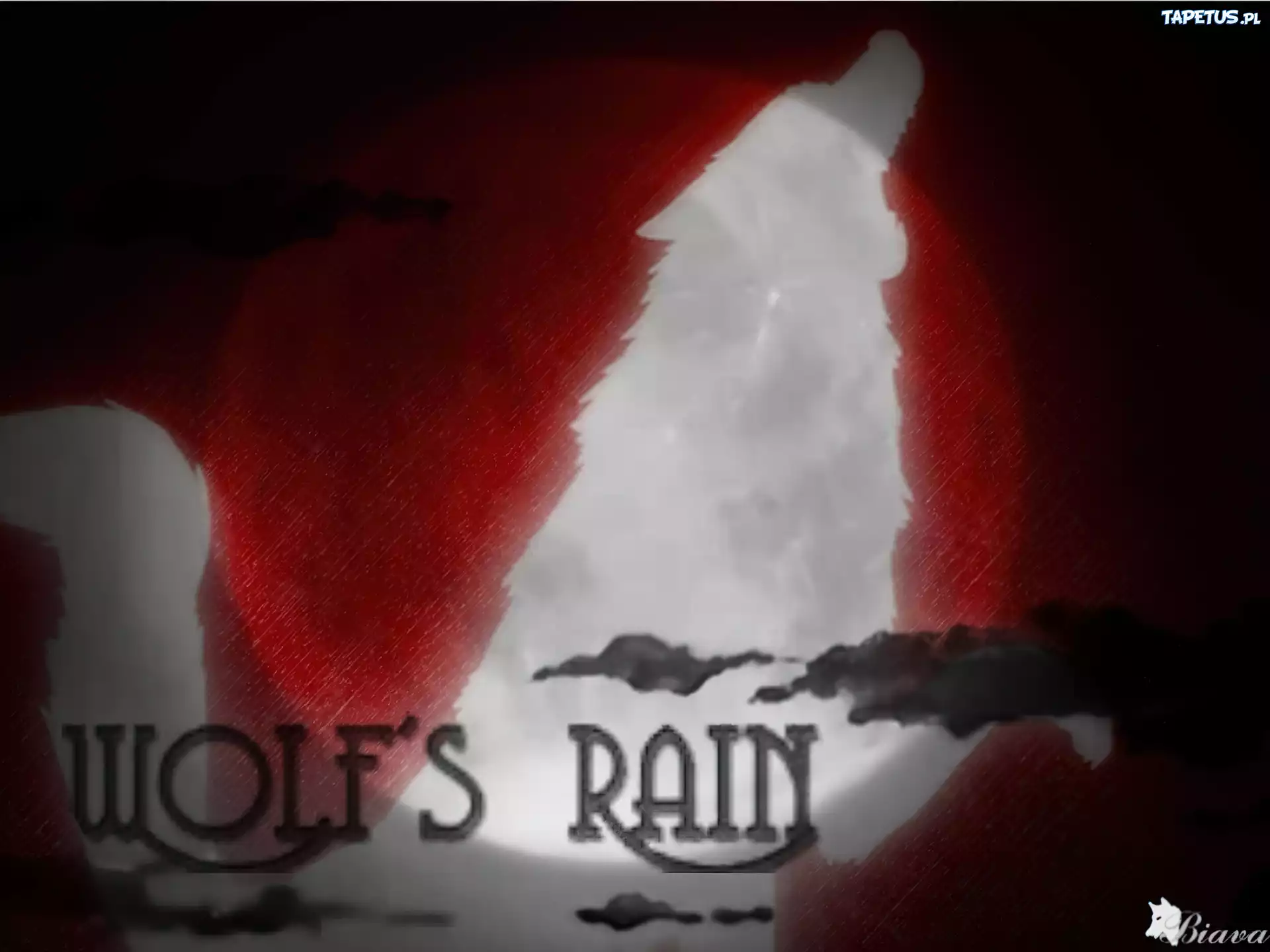 Wolfs Rain, wilk, napis