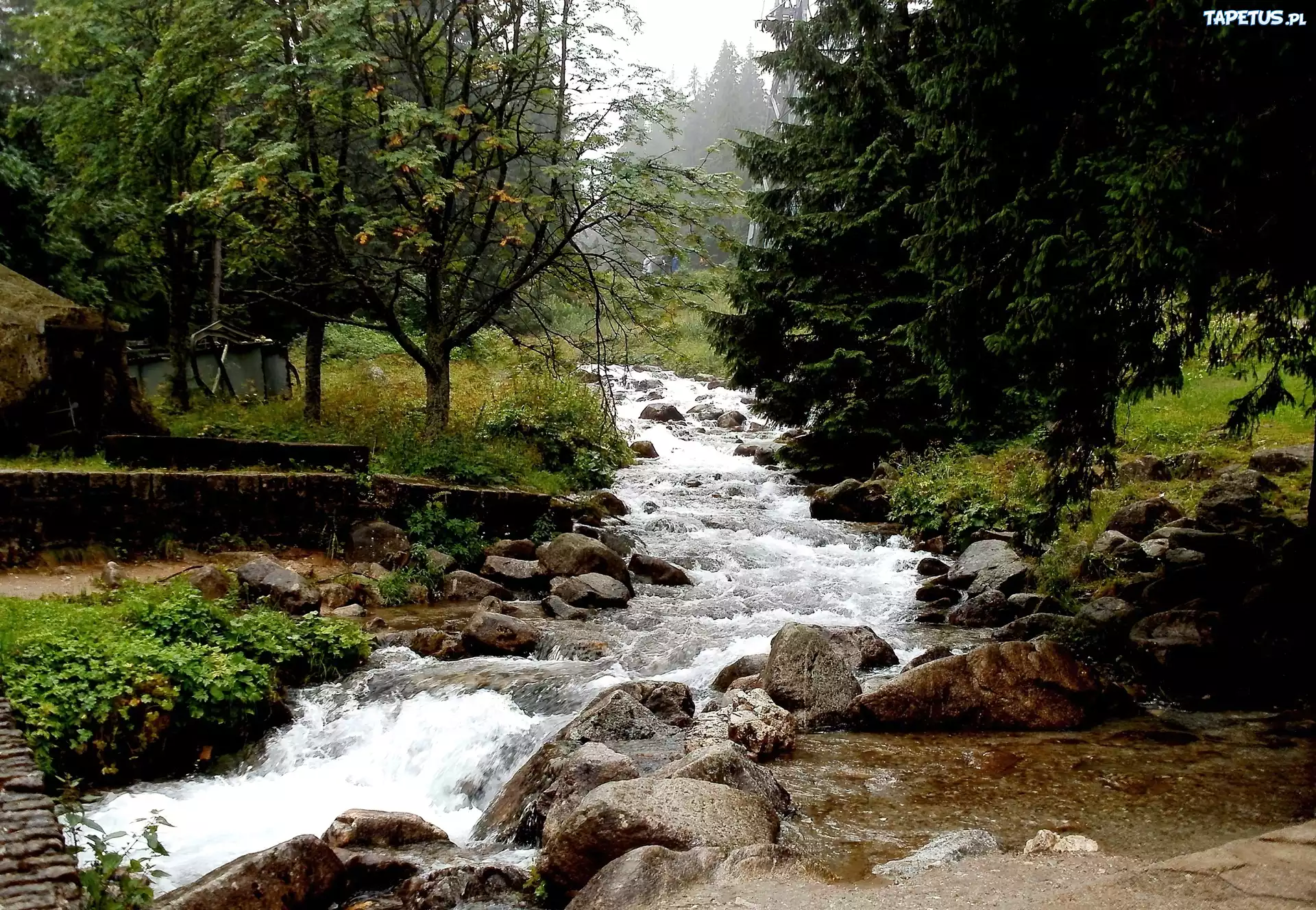 Las, Rzeka, Kamienie