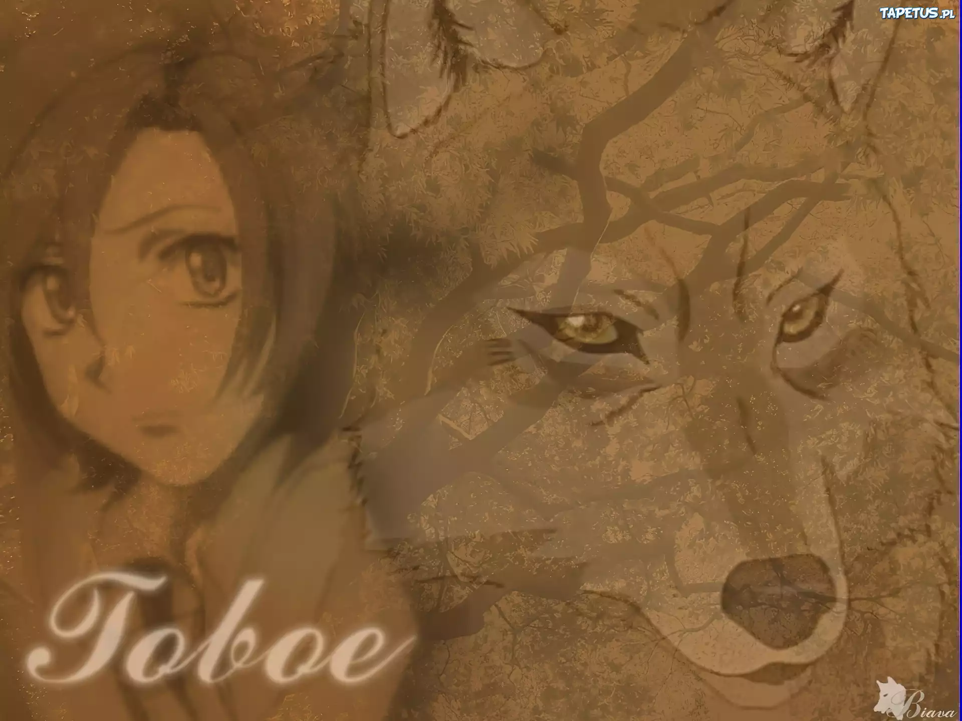 Toboe, wilk, Wolfs Rain