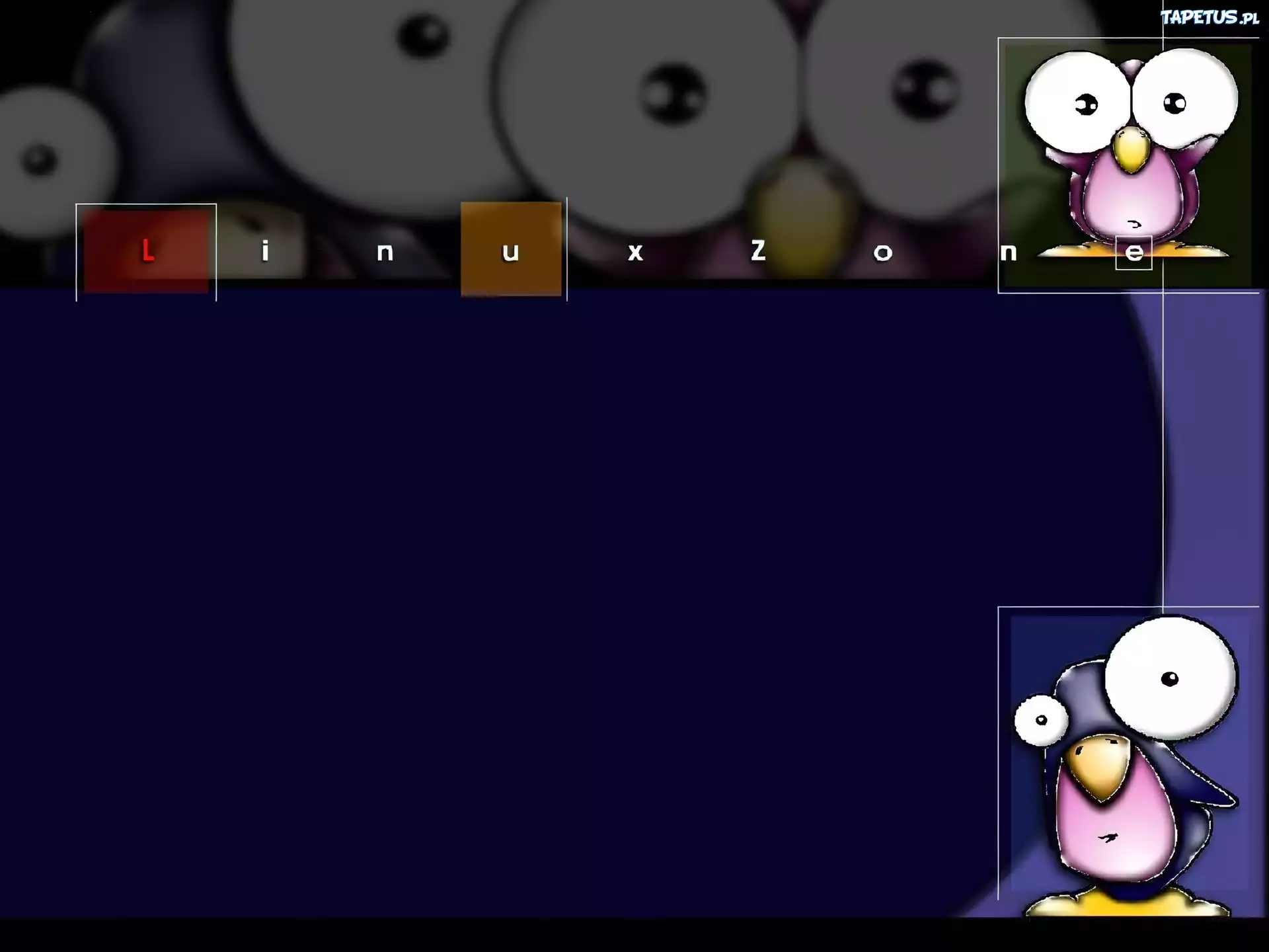 Linux, oko, pingwin, grafika