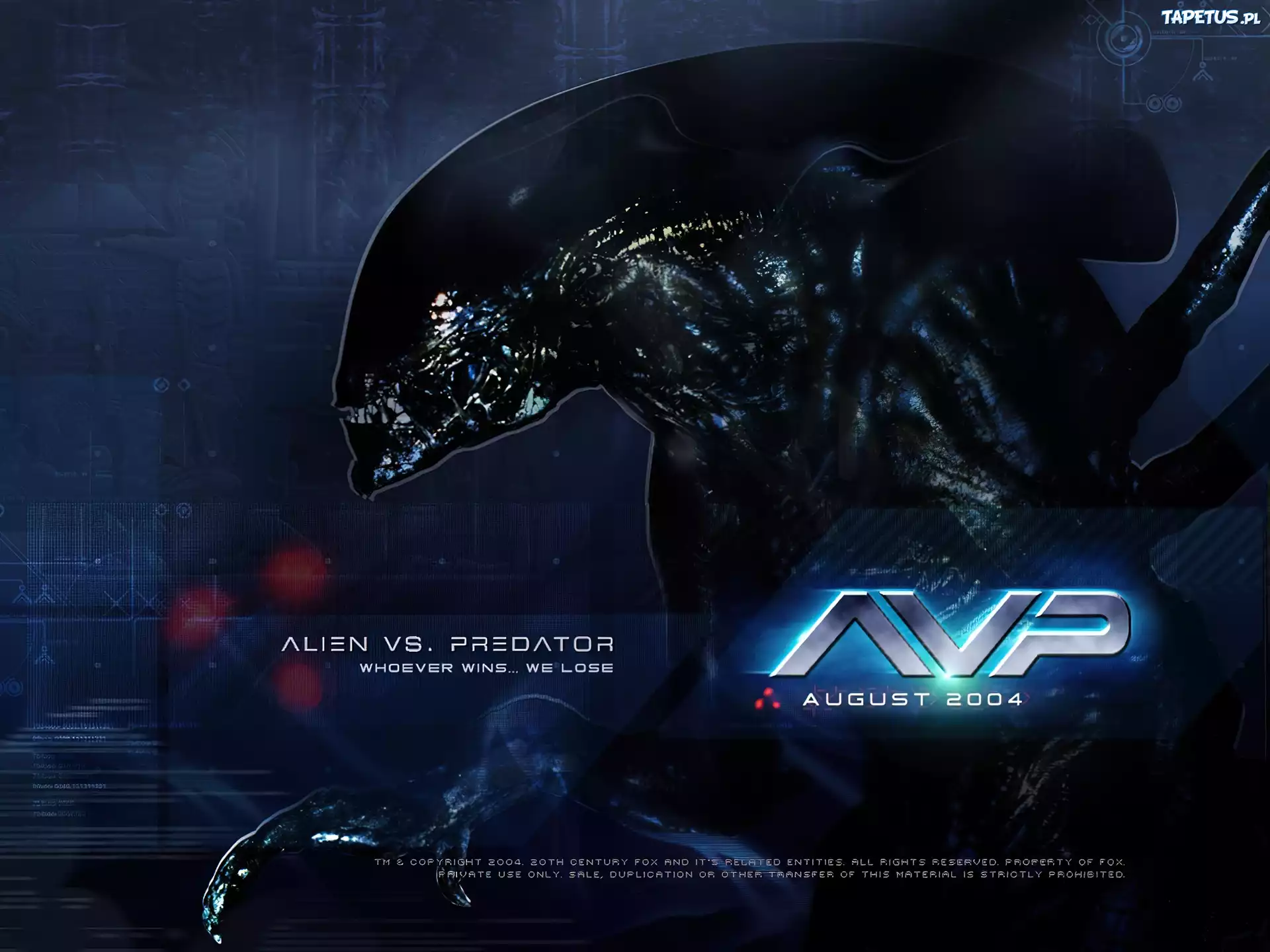 Alien Vs Predator 1, czarny, stwór